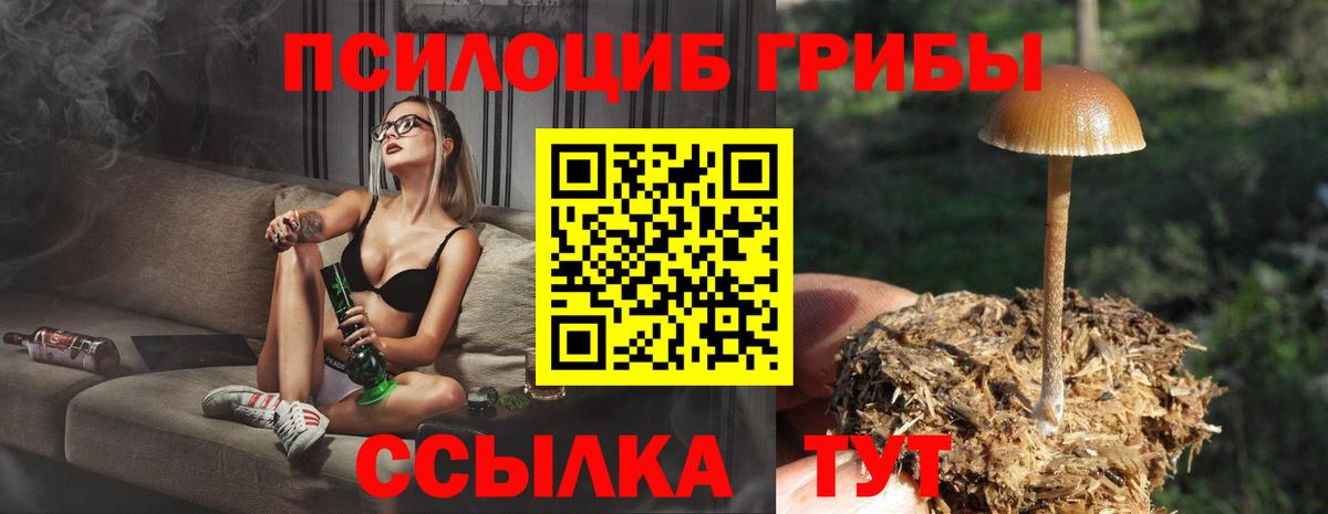 Галлюциногенные грибы мицелий  Галлюциногенные грибы Psilocybine cubensis  Сочи  Вход с VPN 