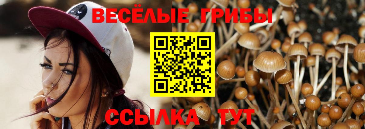 Псилоцибиновые грибы ЛСД Сочи